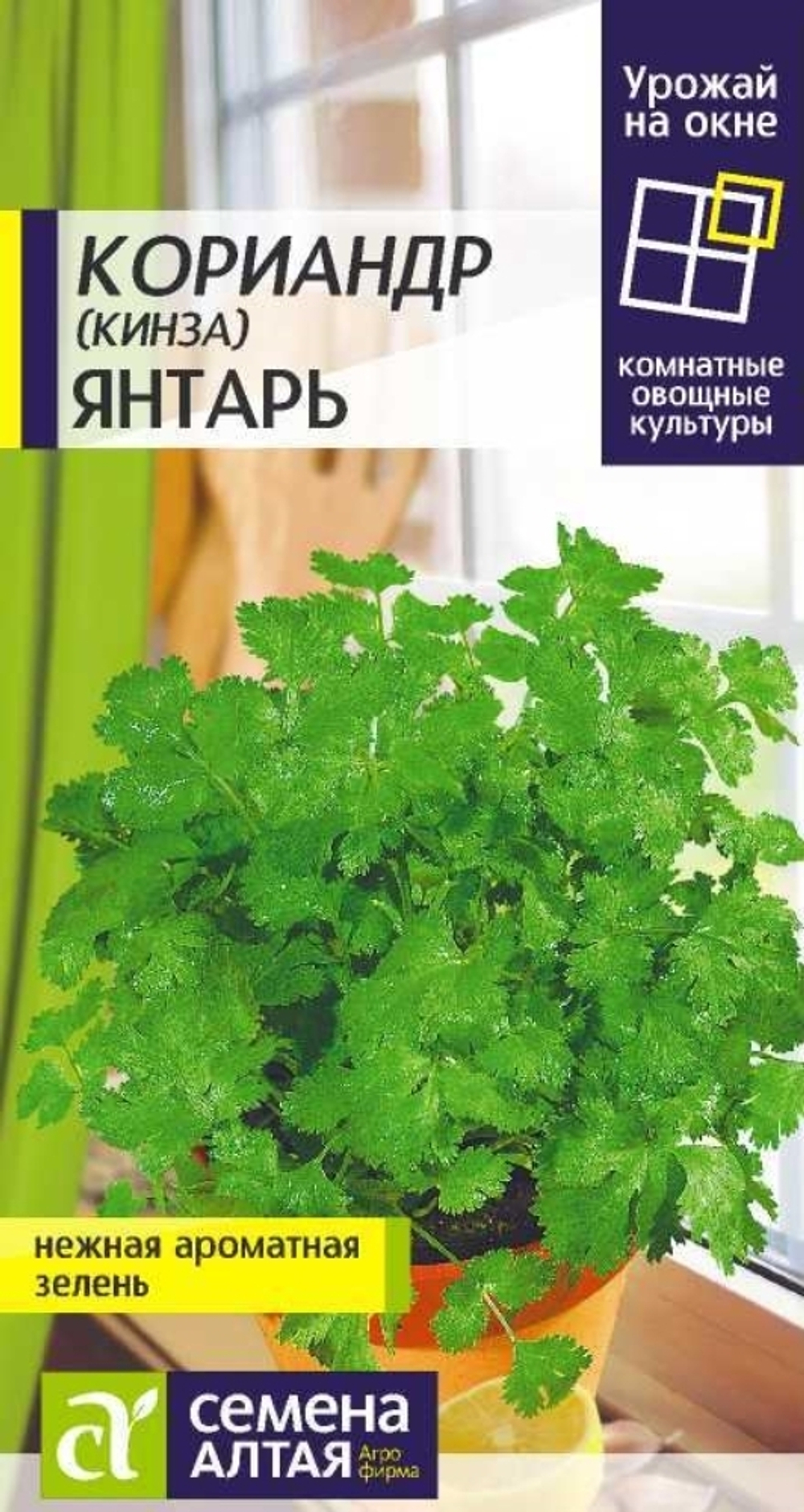Кориандр (кинза) Янтарь