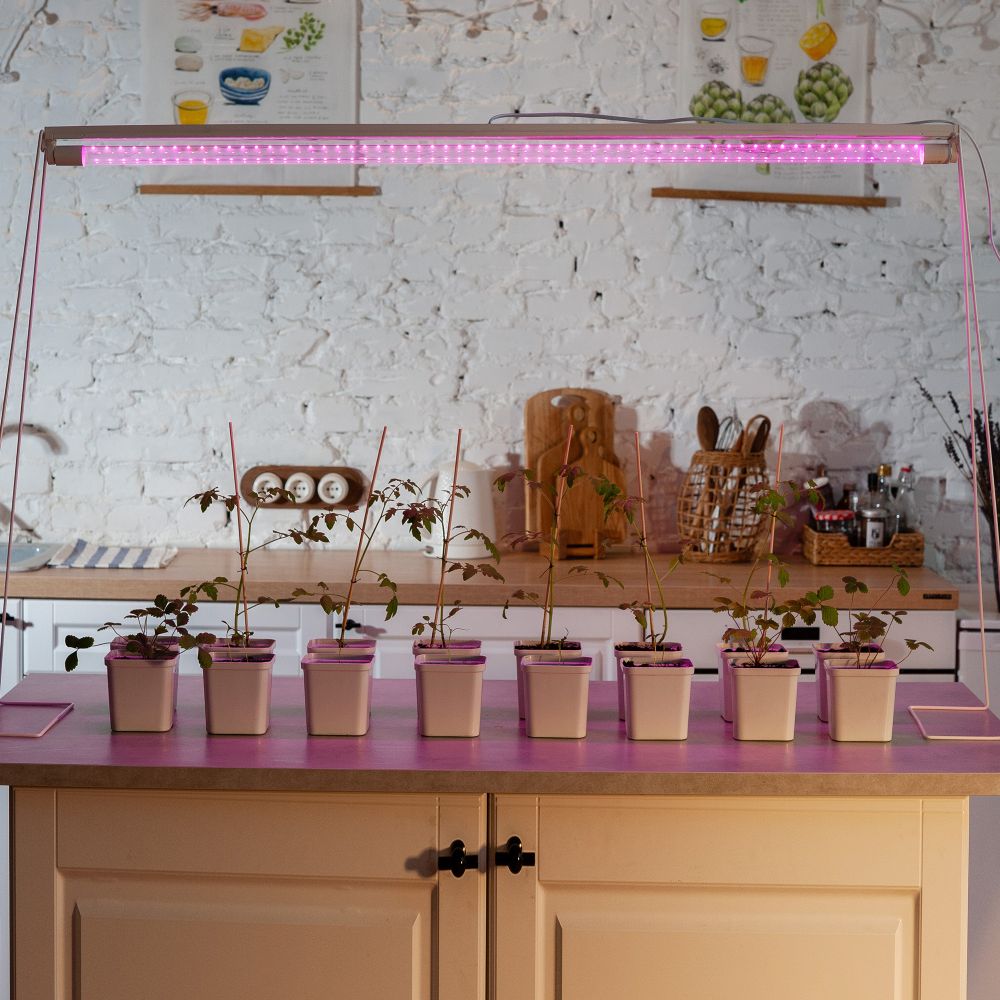 LED-T8-18W-SPSB-G13-CL PLP30WH Лампа светодиодная для растений. Форма T8. прозрачная. Спектр для рассады и цветения. ТМ Uniel.