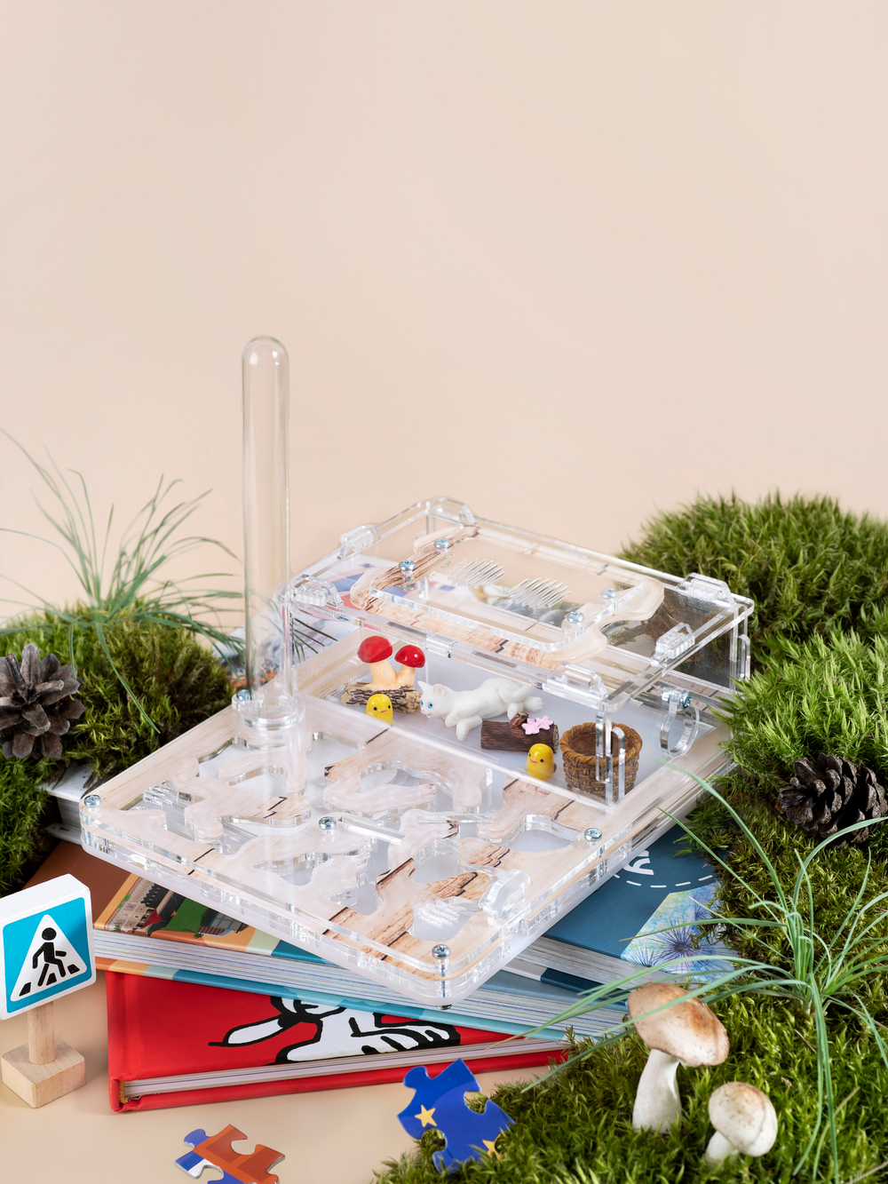 Муравьиная ферма с муравьями в подарок «Древесная»