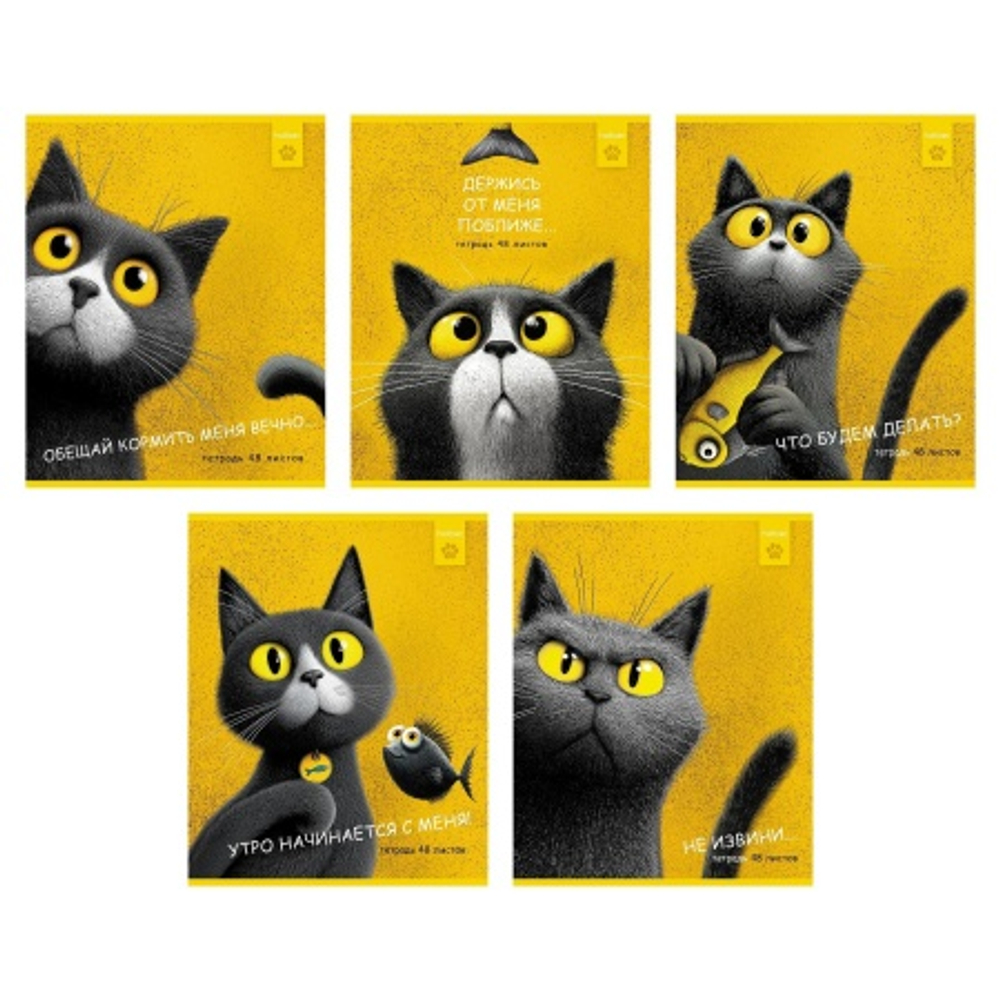 eec85cfcd30891822028572c05fd3e4e