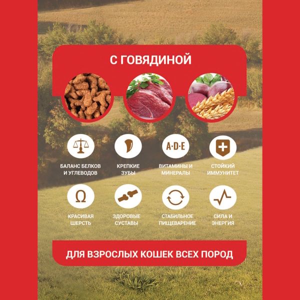 Сухой корм Glance для кошек с говядиной