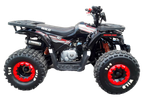 Квадроцикл Motoland VOX125 WILD черный