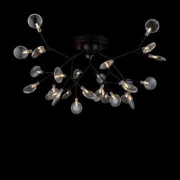 Потолочный светильник FR5049CL-27B черный Florencia Freya