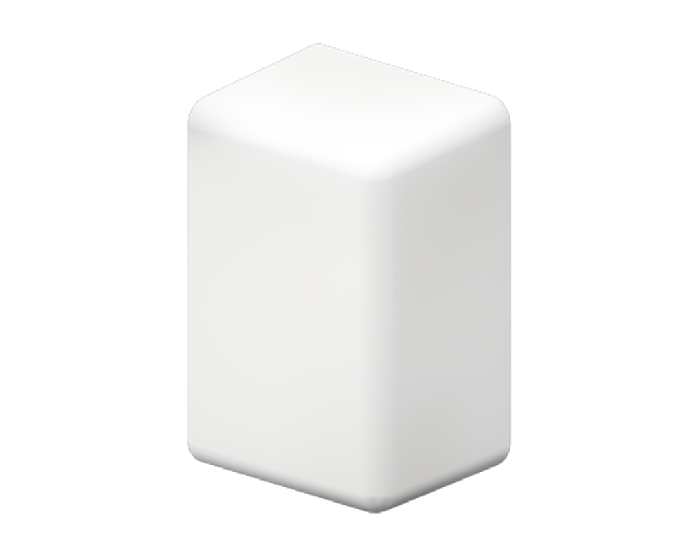 LM 25x17 Заглушка