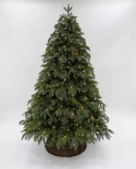 Ель Дворянская 230 см., 504 LED лампы, 100% Литая хвоя, Black Box (74563)