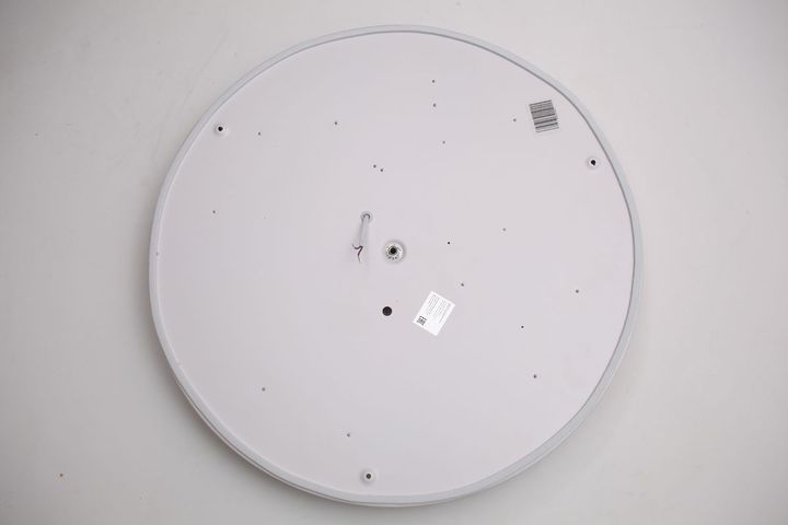 Потолочный светодиодный светильник Escada 10254/S LED