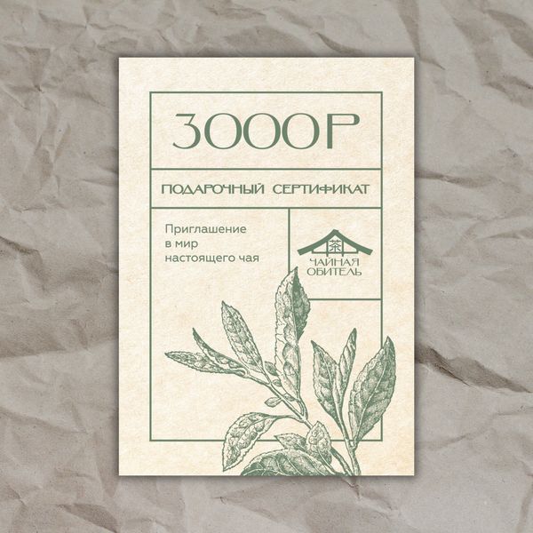 Электронный подарочный сертификат на сумму 3000 рублей
