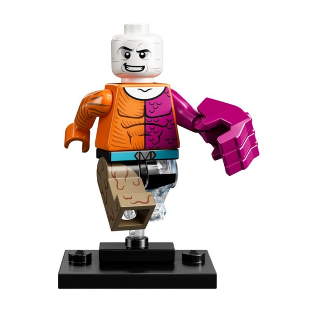 Метаморфо colsh-12