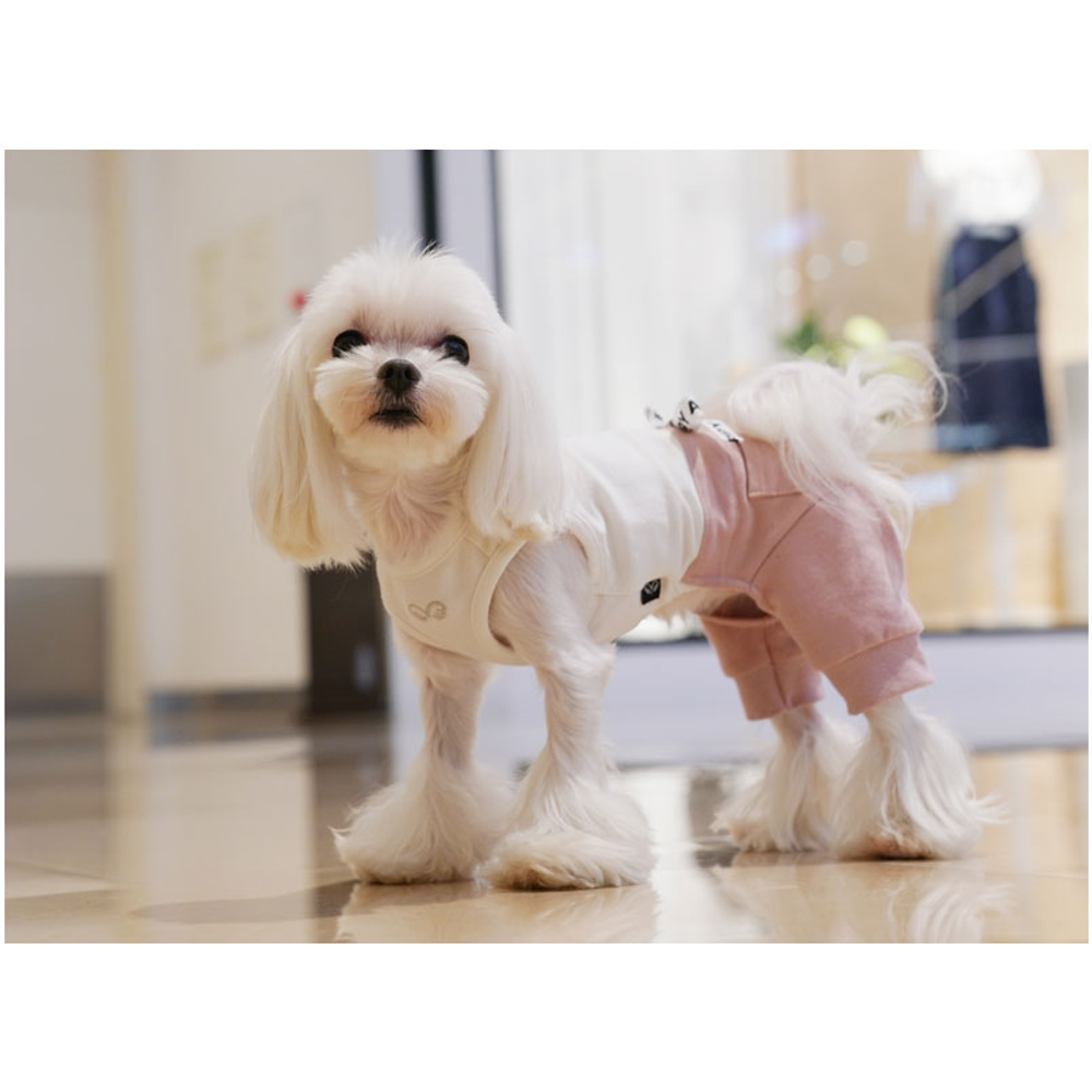 312 Костюм с бантом "Lovely Puppy Angel"