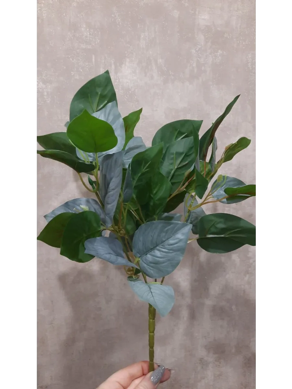 Куст сирени