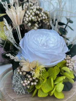 натуральные пионы в стекле