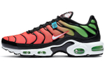 Кроссовки Nike Air Max Plus Worldwide