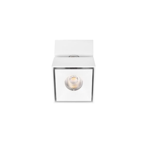 Спот Loft IT Focus 10323/B White