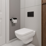 Клавиша смыва для инсталляции Milacio Standart MCU.203 две кнопки, механическое, черный матовый