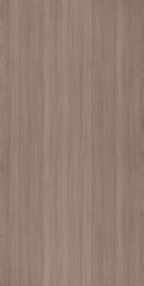 Дымчатый дуб