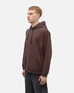 Худи Anteater Streetwear коричневый