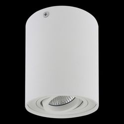 Накладной светильник Lightstar Binoco 052016