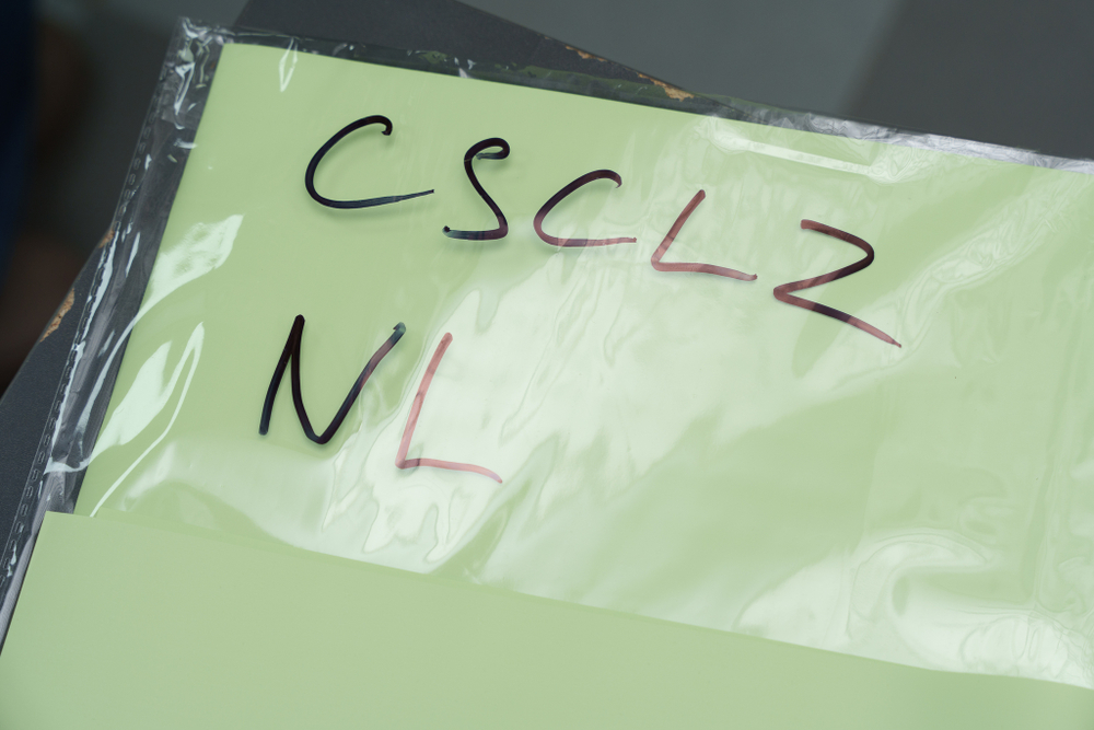Монотонная матовая аква бумага CSCLZ - NL