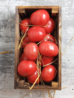 Помидоры Туркменские 500 - 600 гр.