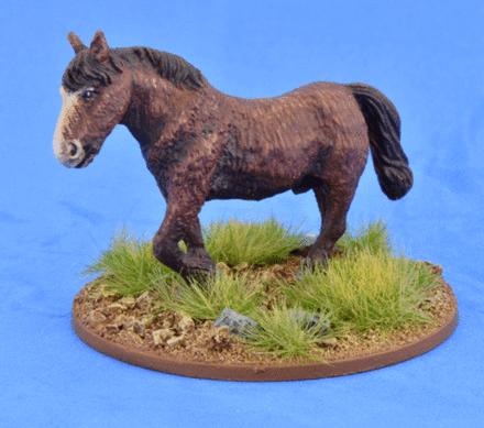 SSC19  Shaggy Pony (Bareback)