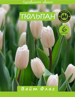 Тюльпан Луковица Вайт Флаг 6 шт