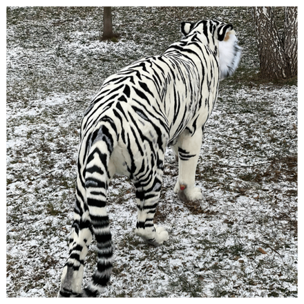 Реплика «Бенгальский тигр»