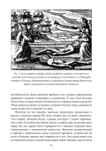 Джон Ди. Диалоги с ангелами