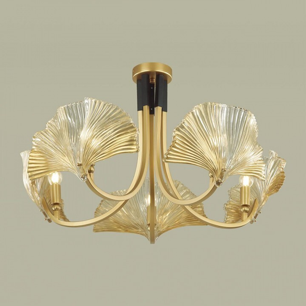 Накладная люстра Odeon Light 4870/5