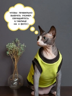 Майка для собак и кошек