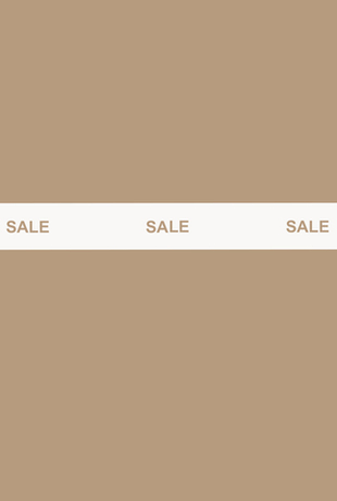 Последний шанс