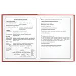 Дневник 1-4 класс 48 л., твердый, ЮНЛАНДИЯ, глянцевая ламинация, с подсказом, "Футбол", 106595