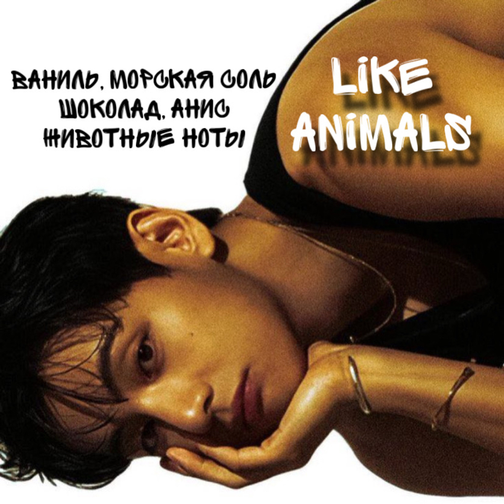 BTS - "Like Animals"