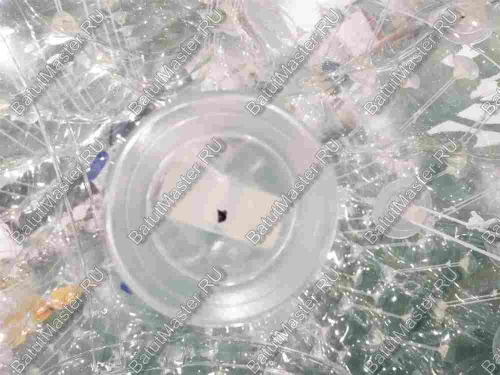 Аттракцион Водный роллер (Гидророллер) «Прозрачный» ТПУ, 2.5*2*2 м