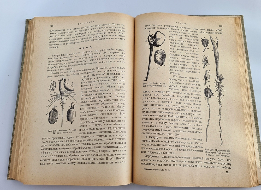 "Природоведение: Зоология. Ботаника. Минералогия. Геология и палеонтология".  Том 2, полутом 1 и 2. 1910 г.