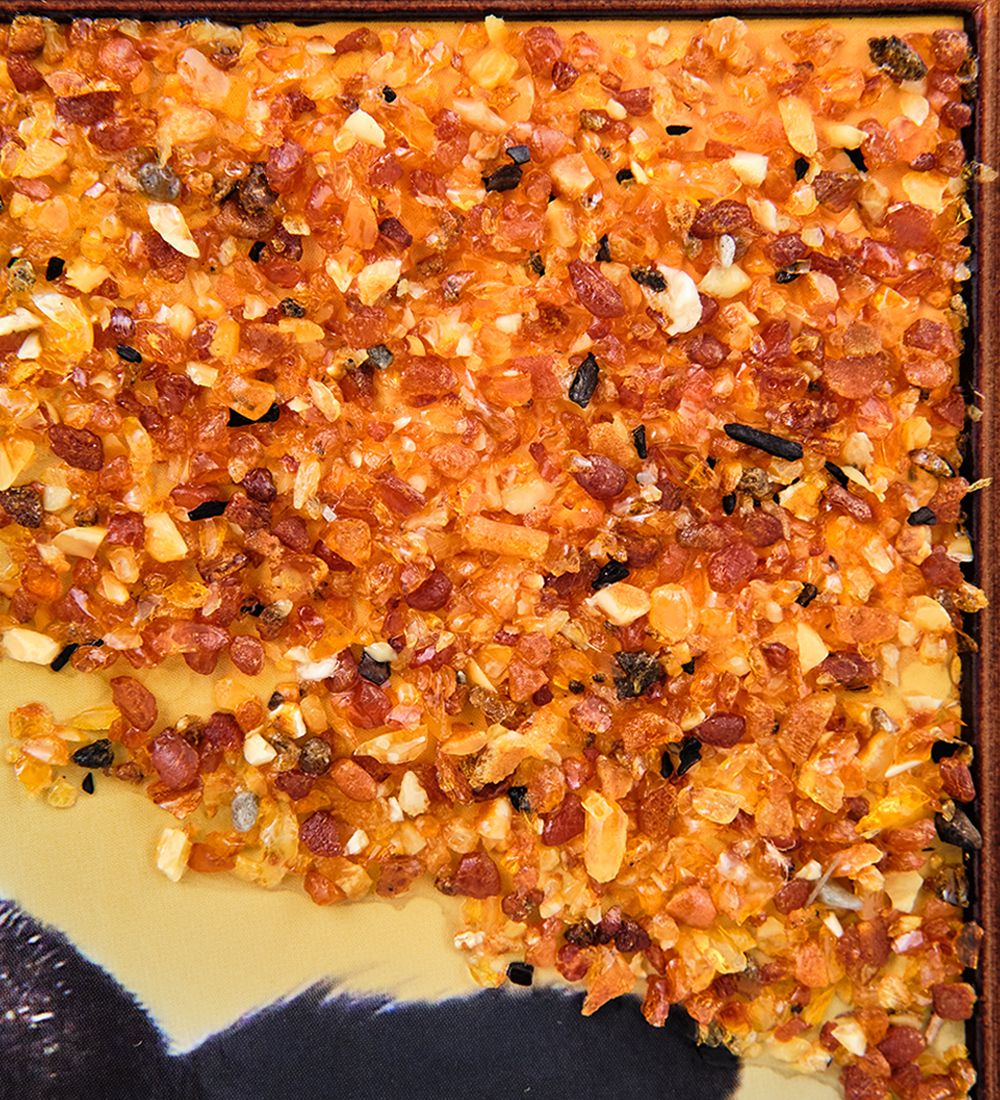 AMB-71/61 Картина «Чихуахуа» (с янтарной крошкой) дер.краш.рамка 21х30