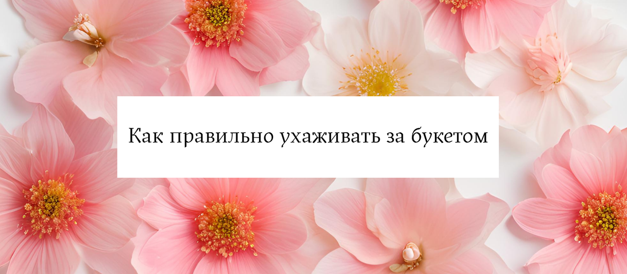 How to properly care for flowers: recommendations, tips, and life hacks