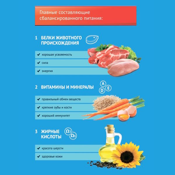 Уценка! Повр.упак. / Сухой корм ProХвост для собак, мясное ассорти