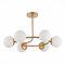 Потолочная люстра Evoluce Calabria SLE220602-06