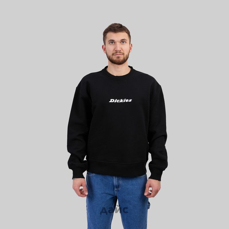 Толстовка мужская Dickies Enterprise Sweatshirt артикул:DK0A4Z4KBLK1 - купить в магазине Дайс