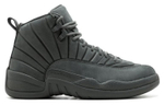 Кроссовки Jordan Air Jordan 12 Retro Psny