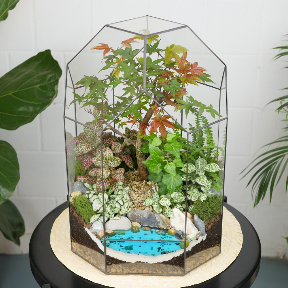 Готовый флорариум бонсай Клён Бонсариум XL с озером