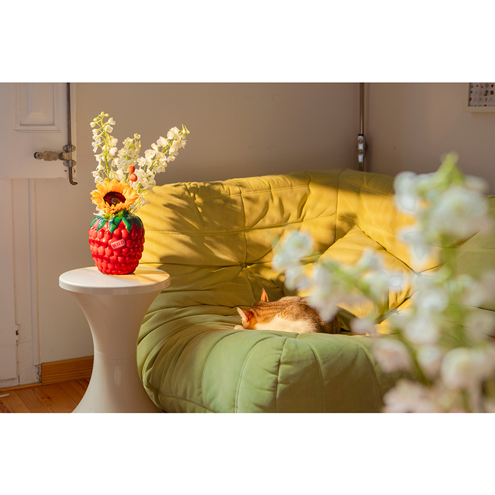 Ваза для цветов 20см Doiy Raspberry