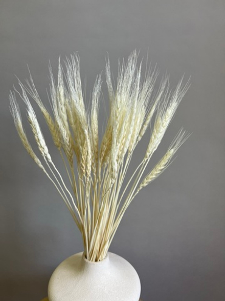 Ячмень выбеленный