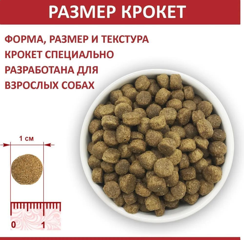 Корм для собак сухой Родные корма 16,38кг, для взрослых животных с говядиной