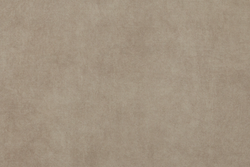 Велюр Noel ivory (Ноел ивори)