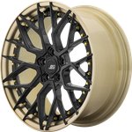 RP FORGED HCA192S