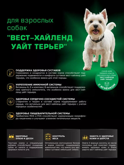 Корм сухой для взрослых собак породы Вест-хайленд уайт терьер, с ягненком, 800 гр, QUATTRO