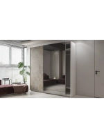Шкаф-купе WAYSON Pulse 5, 120х50х210