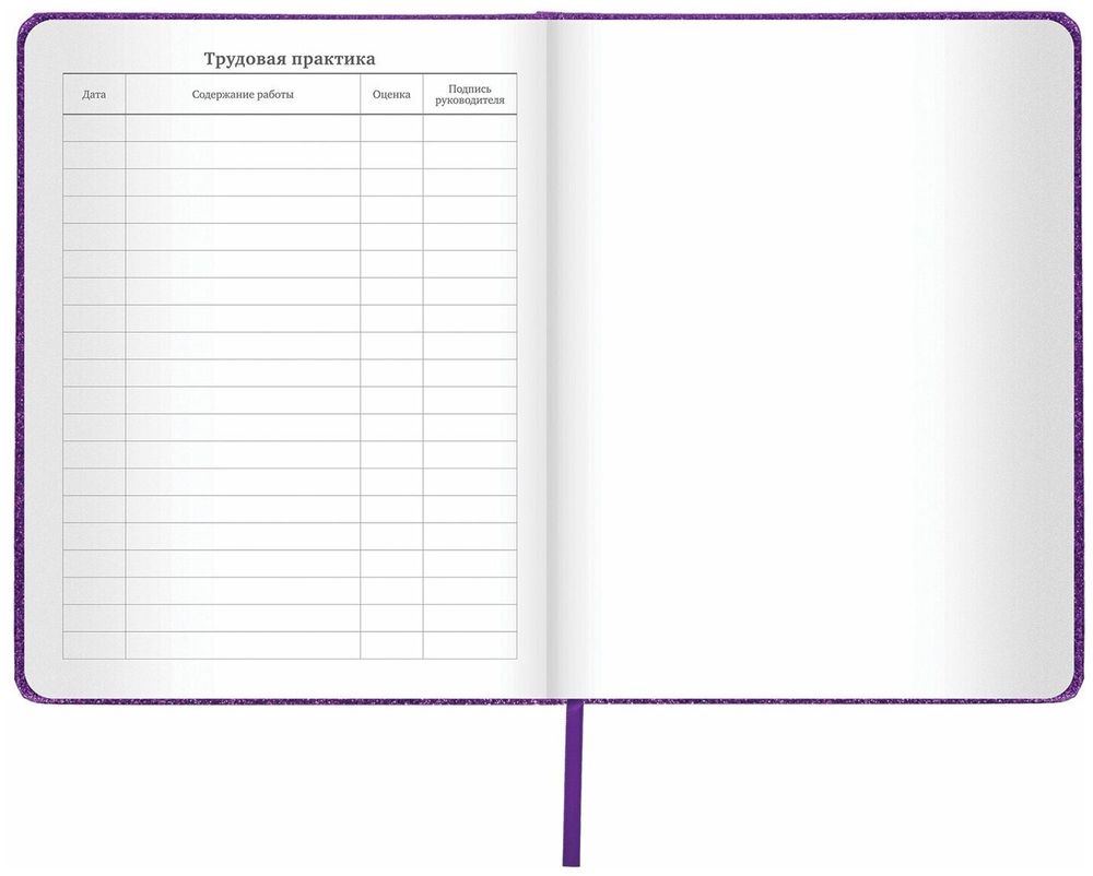 Дневник 1-11 класс 48 л., обложка кожзам (твердая), фольга, BRAUBERG "SPARKLE", фиолетовый, 105461