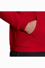Кофта adidas Entrada 22 Sweat